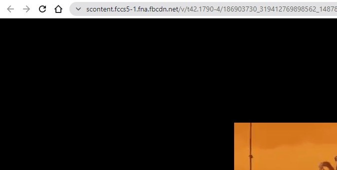 Captura de pantalla de un video de Facebook con el menú de descarga directa