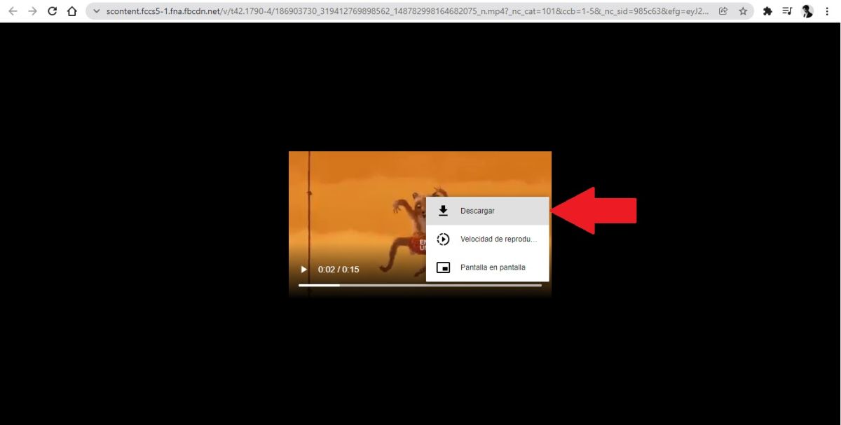 Screenshot of Facebook video with direct download menu