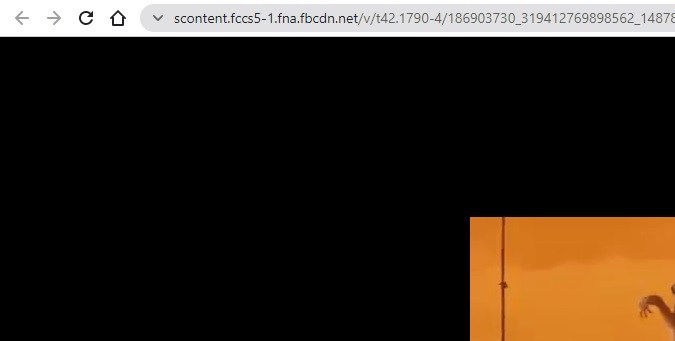 Captura de pantalla de un video de Facebook ya descargado