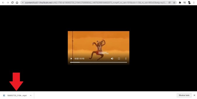 Captura de pantalla de un video de Facebook ya descargado