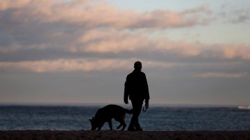 Un hombre camina en la playa con su perrito.