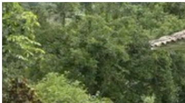 Así es la hacienda donde Sebastián y La Gaviota derraman miel en 'Café con Aroma de Mujer'