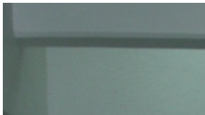 Mariana Levy y 'El Pirru'