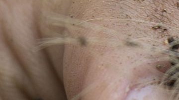 Fuertes golpes causan la muerte de un menor de edad