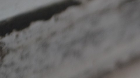 El horóscopo chino contiene 12 signos animales regidos por ciclos de 12 años