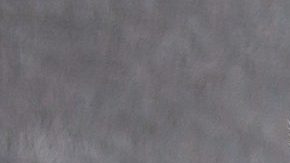 VIDEO: “Kéfir" cautiva en las redes al mostrarse como “el gato más grande del mundo”