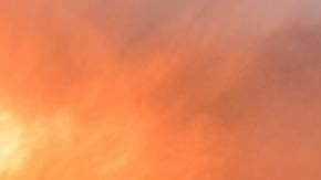 Por riesgo de incendios forestales las viviendas más caras en California están fuera de las pólizas-pexels-pixabay-260367.jpeg