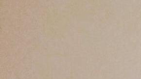 Navient cancelará préstamos estudiantiles: beneficiará a más de 400,000 estudiantes