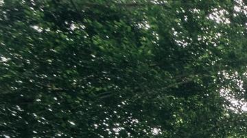 7 maravillosos regalos que son gratis y que deberías agregar a tu rutina diaria en 2022-pexels-yan-krukov-5479963.jpeg