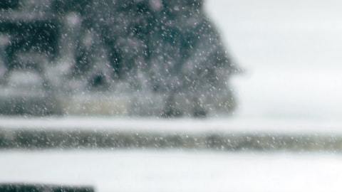 Los 3 signos del zodiaco que se reencontrarán a un ex podrían volver con esa persona.