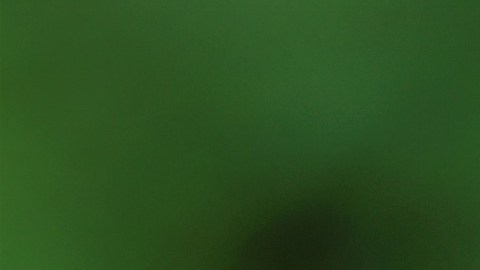 La sexta extinción masiva de la biodiversidad mundial ya está en marcha, advierten científicos