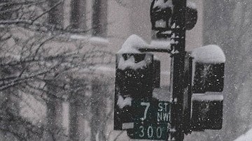 Temperatura baja en Florida y norte de Estados Unidos