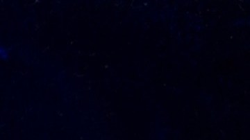 El USPS reconoce la importancia del mariachi como parte de la cultura mexicoamericana.