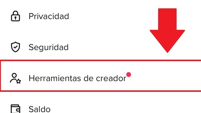 Captura de pantalla de los ajustes de un perfil de TikTok.