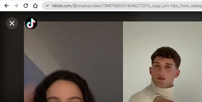 Captura de pantalla de un video de TikTok visto desde el navegador.