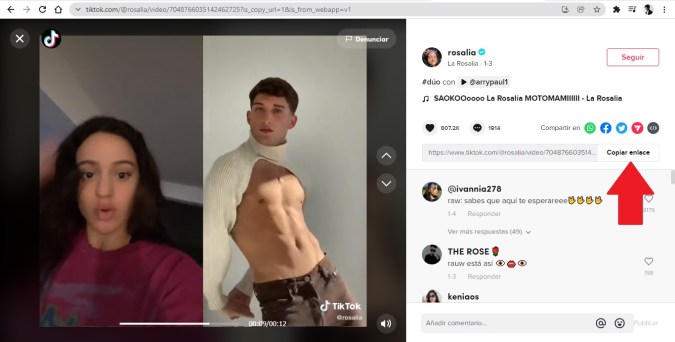 Captura de pantalla de un video de TikTok visto desde el navegador.