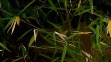 Vanessa Claudio se muestra en traje de baño a rayas y descansando en Tulum