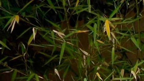 Vanessa Claudio se muestra en traje de baño a rayas y descansando en Tulum