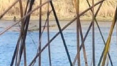 Rescatan cuerpo de niña venezolana que se ahogó en el Río Bravo al tratar de llegar a Estados Unidos