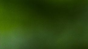 El uso de la marihuana para tratamientos médicos es legal en Ohio desde 2016