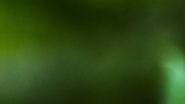 El uso de la marihuana para tratamientos médicos es legal en Ohio desde 2016