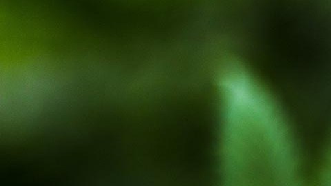 El uso de la marihuana para tratamientos médicos es legal en Ohio desde 2016