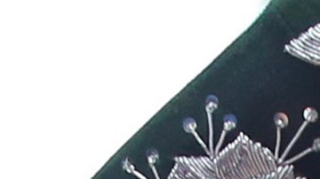 Vicente Fernández cantando