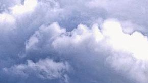 walmart-hombre-detenido