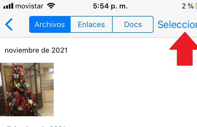 Captura de pantalla mostrando los archivos acumulados en un chat de WhatsApp