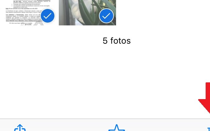 Captura de pantalla de la opción de borrar en un chat de WhatsApp