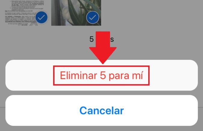 Captura de pantalla de la confirmación para eliminar archivos en WhatsApp