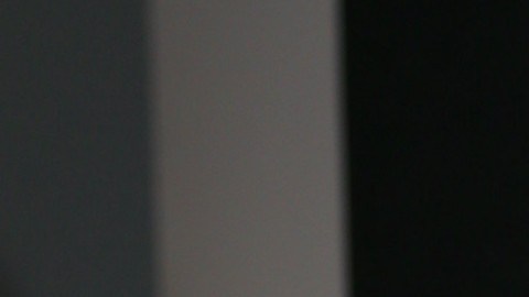 Adamari López | Mezcalent.