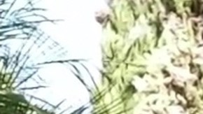 Alfredo Adame presume ser millonario, pero ex asegura que su mansión está muy dañada