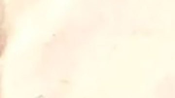 La bebé secuestrada por los nazis para el siniestro plan de cultivar la llamada "raza superior"