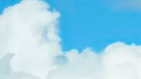 Qué es el reino abisal, el ecosistema menos conocido de la Tierra que los científicos están comenzando a revelar