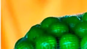 Limón en México: por qué el coste del cítrico alcanzó un "récord histórico" (y cuándo bajará de nuevo)