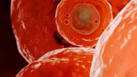 Covid: qué es la inmunidad híbrida y cómo te protege contra las infecciones como la del coronavirus
