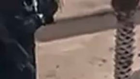 Juan Orlando Hernández: detienen al expresidente tras una solicitud de extradición de Estados Unidos