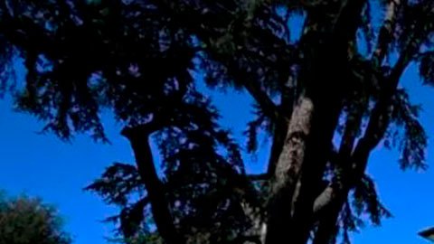 Villa Aurora: la espléndida mansión en el centro de una amarga batalla entre una princesa texana y sus hijastros italianos