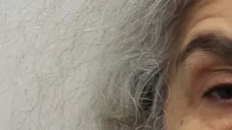 Lulu Lakatos se hizo pasar por tasadora de piedras preciosas