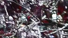 Ana Victoria y Diego Verdaguer | Mezcalent.