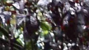 diego Verdaguer y su hija Ana victoria.