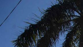 La Universidad Politécnica de Nicaragua es uno de los centros educativos sancionados por el gobierno de Daniel Ortega.