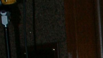 Verónica del Castillo | Mezcalent.