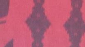 Pilar Montenegro | Mezcalent.