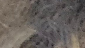 Blinken está "convencido" de que Rusia tratará de derrocar el Gobierno ucraniano