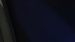 Abel Ferreira (c) consiguió un bicampeonato con Palmeiras en la Copa Libertadores