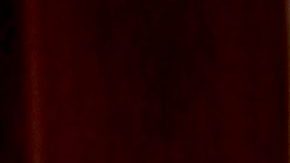 Pedro Rivera | Mezcalent.