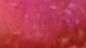 Danna Paola | Mezcalent.