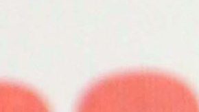 Kate del Castillo | Mezcalent.